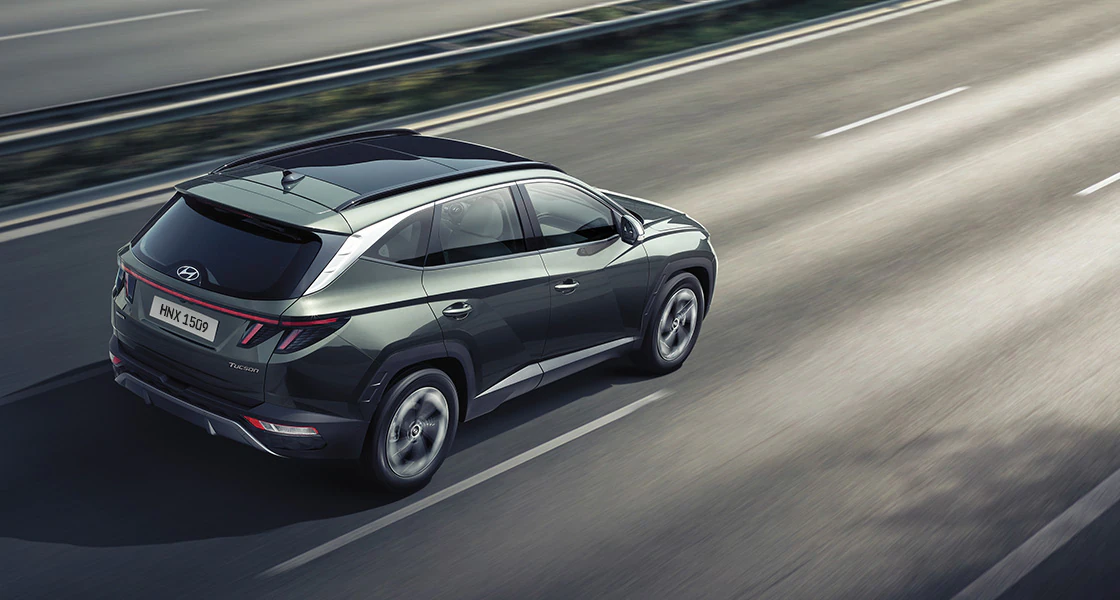 Қарқынды сіз белгілейсіз.